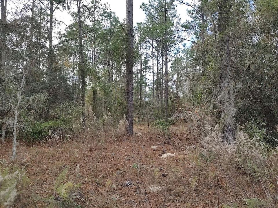 En Venta: $135,000 (5.07 acres)