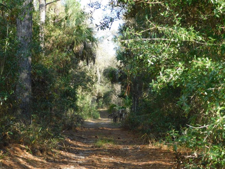 En Venta: $135,000 (5.07 acres)