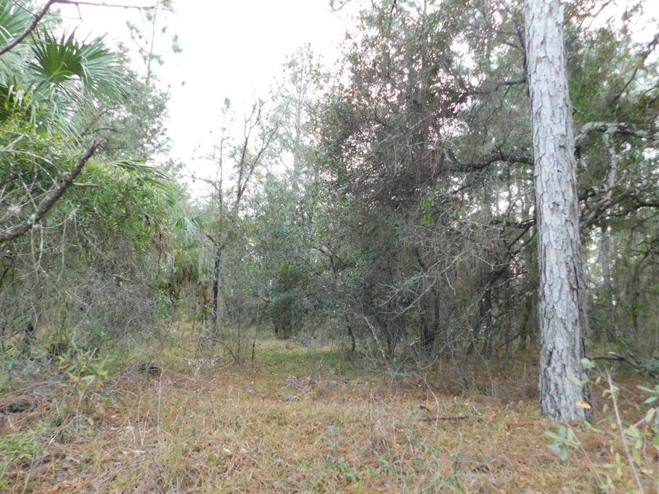 En Venta: $135,000 (5.07 acres)