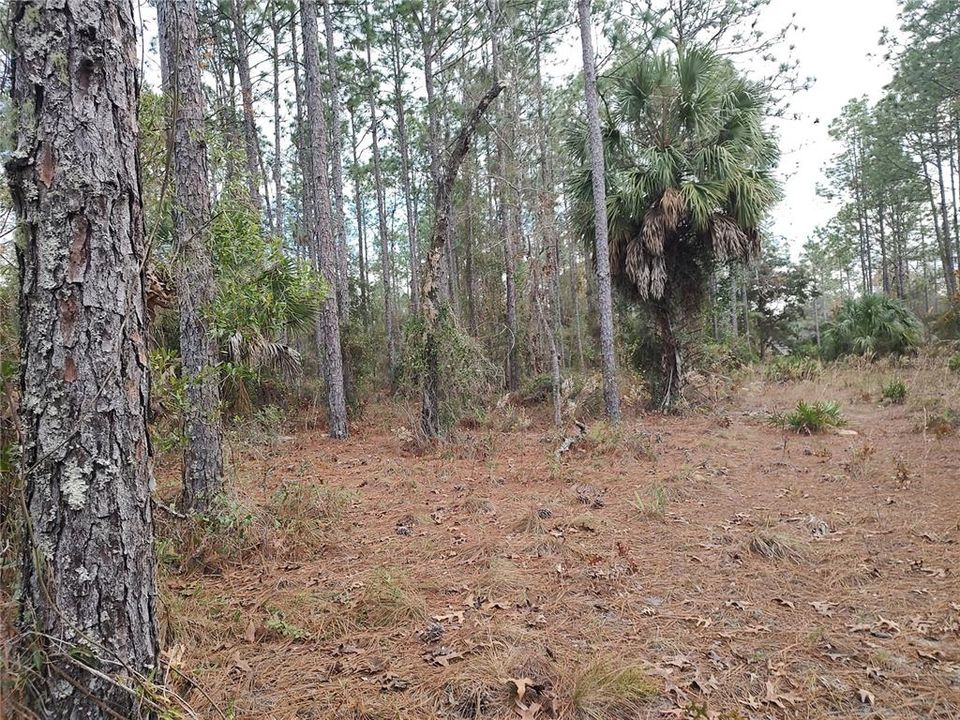 En Venta: $135,000 (5.07 acres)