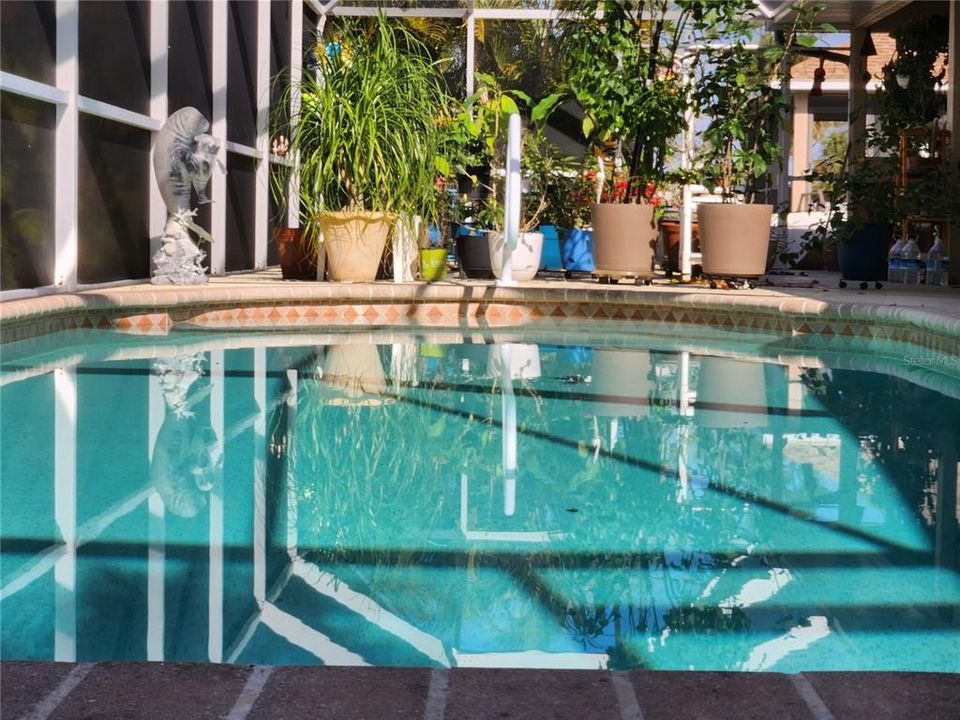 待售: $350,000 (3 贝兹, 2 浴室, 1991 平方英尺)