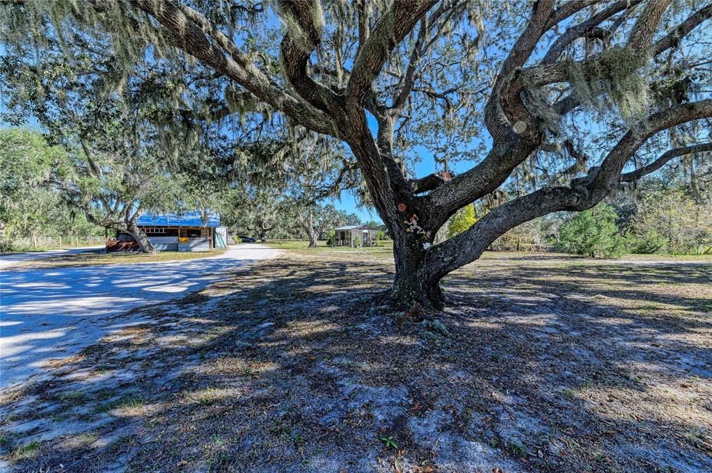 На продажу: $565,000 (3 спален, 2 ванн, 1392 Квадратных фут)