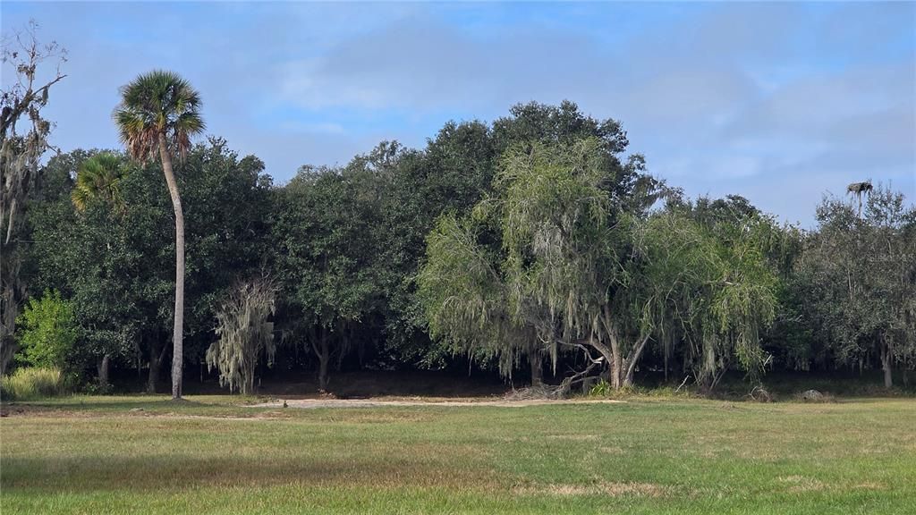 For Sale: $250,000 (1.02 acres)