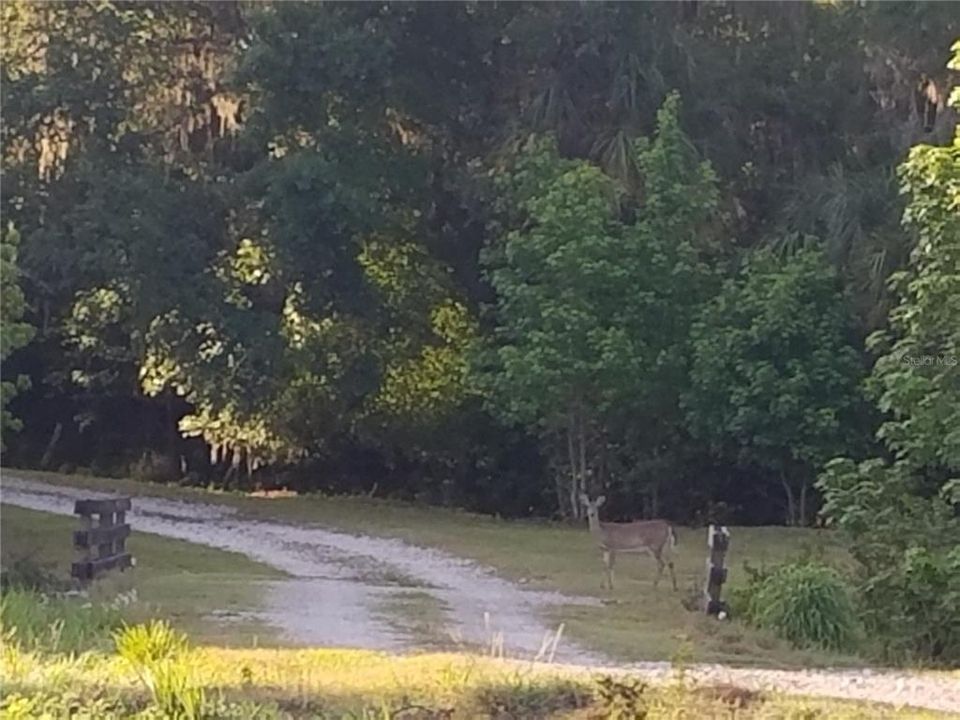 For Sale: $250,000 (1.02 acres)