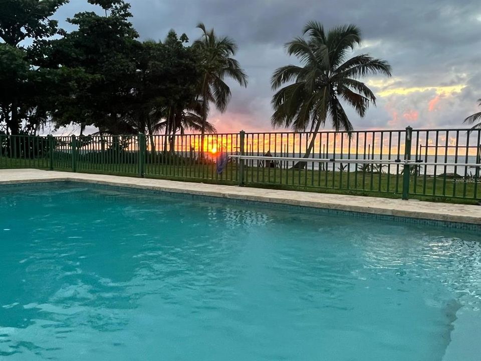 En Venta: $340,000 (1 camas, 1 baños, 539 Pies cuadrados)