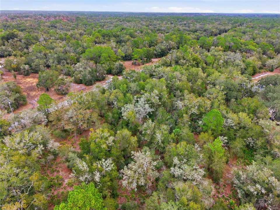 En Venta: $38,750 (1.25 acres)