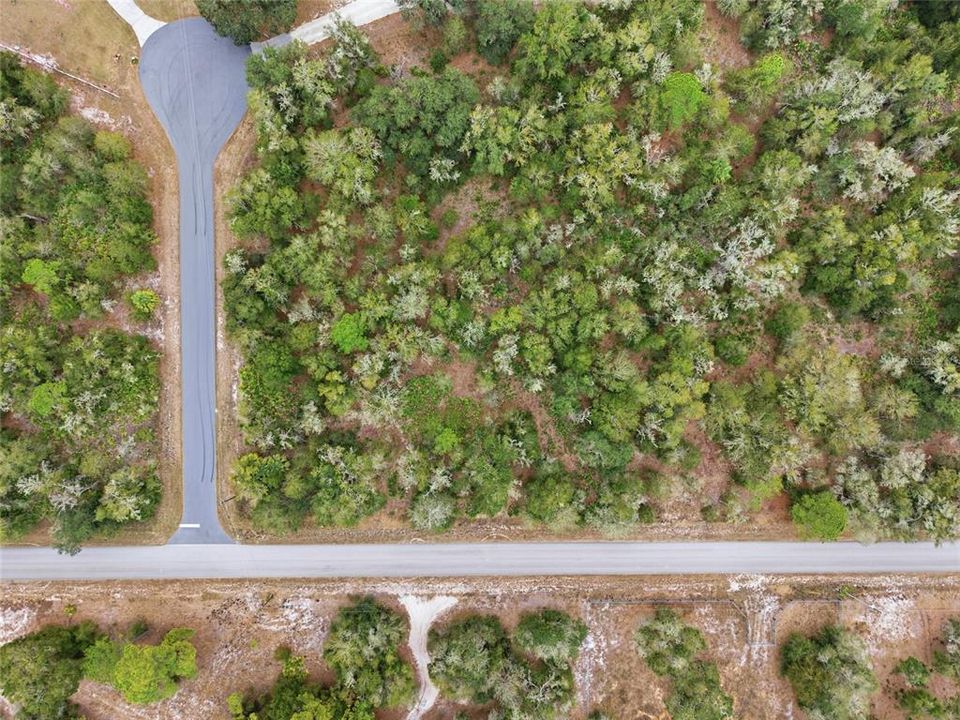 En Venta: $38,750 (1.25 acres)