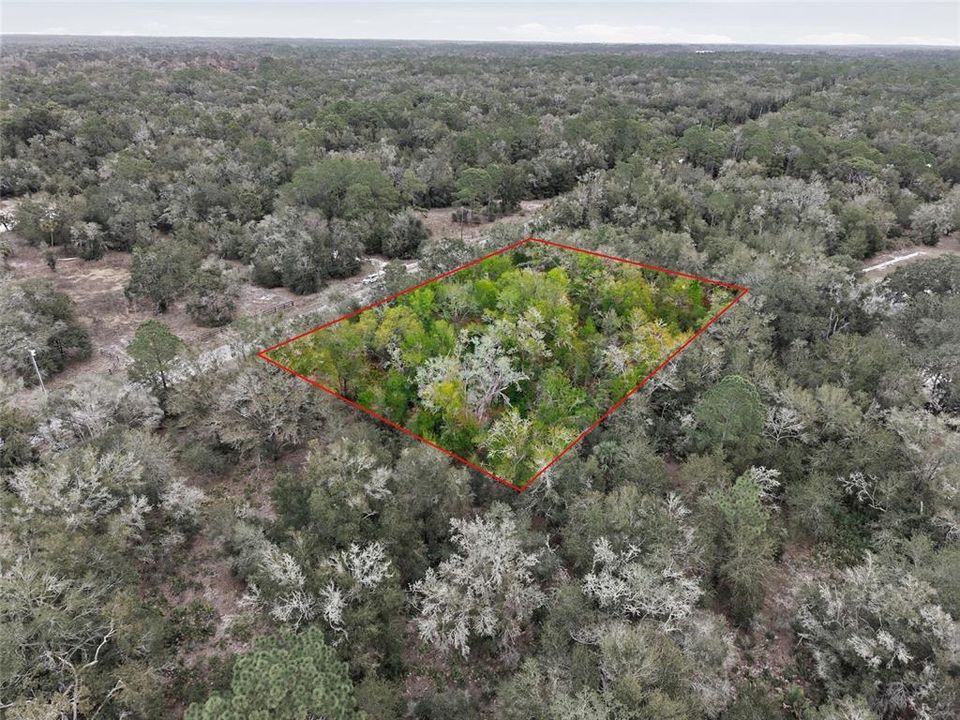 En Venta: $38,750 (1.25 acres)