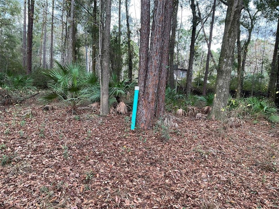 На продажу: $150,000 (2 спален, 2 ванн, 1352 Квадратных фут)