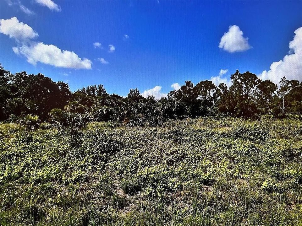 待售: $28,000 (0.19 acres)