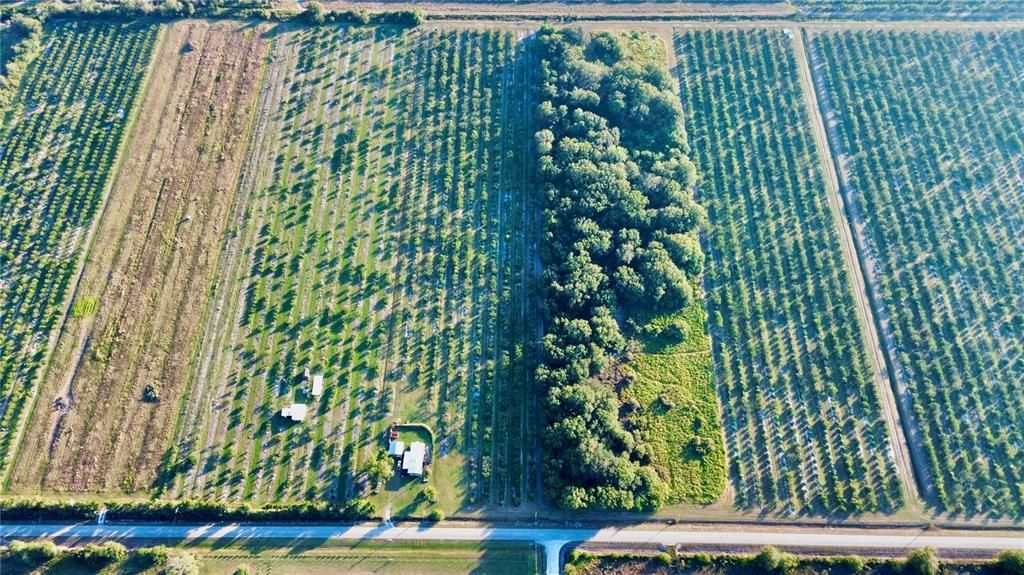 For Sale: $160,000 (9.44 acres)