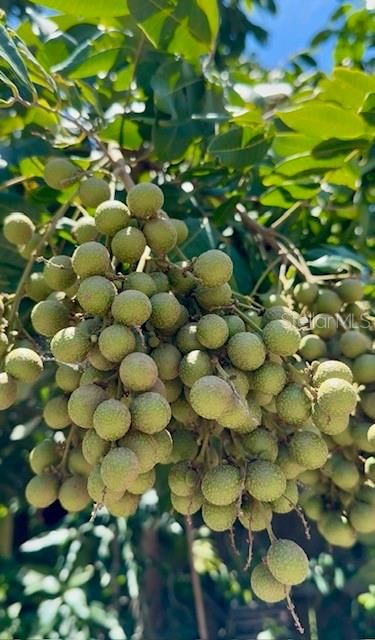 En Venta: $339,000 (10.00 acres)