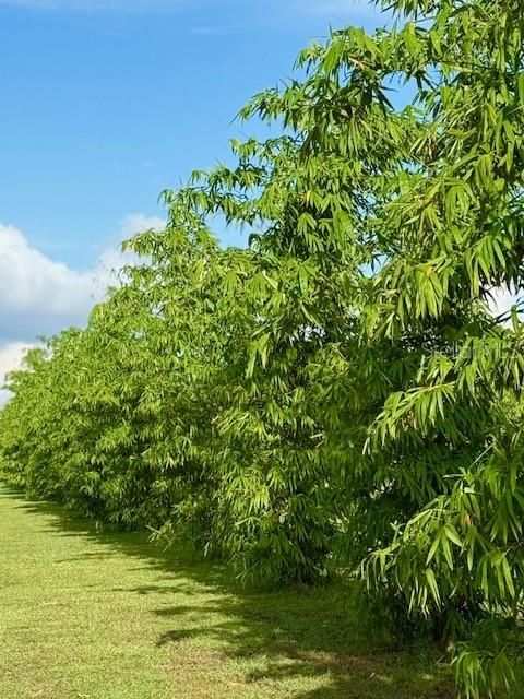 En Venta: $339,000 (10.00 acres)