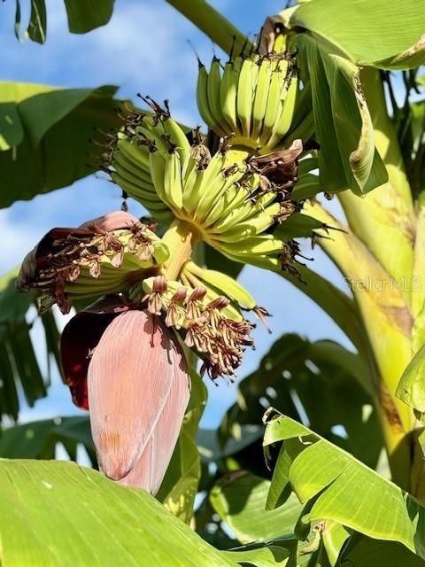 En Venta: $339,000 (10.00 acres)