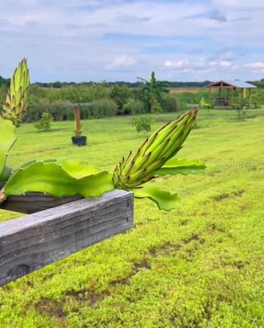 En Venta: $339,000 (10.00 acres)