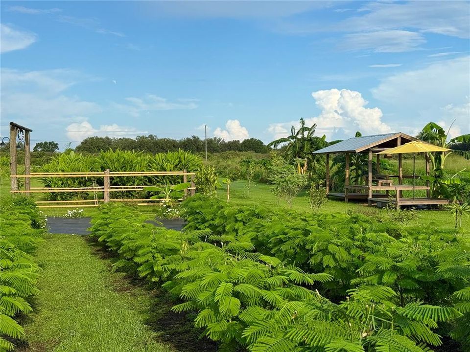 En Venta: $339,000 (10.00 acres)