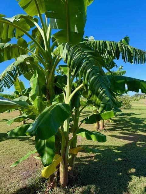 En Venta: $339,000 (10.00 acres)