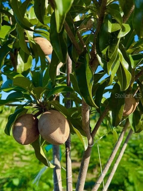 En Venta: $339,000 (10.00 acres)