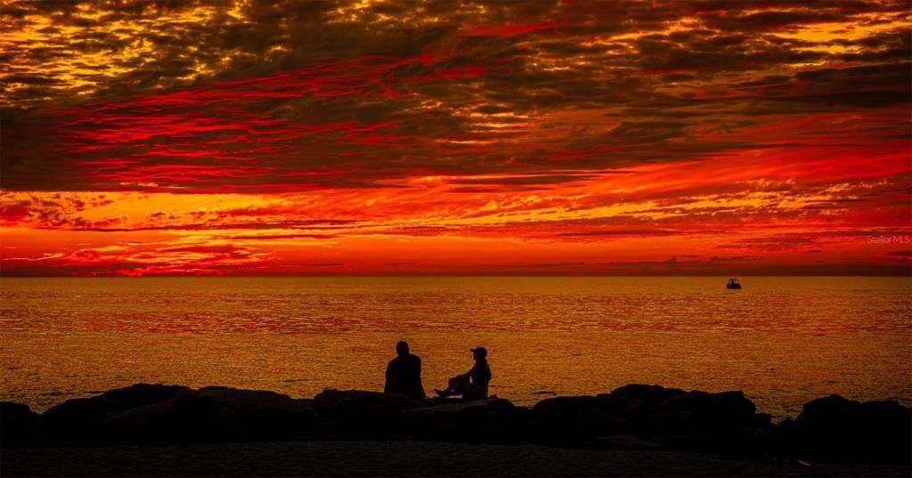 出租: $4,000 (1 贝兹, 2 浴室, 1165 平方英尺)