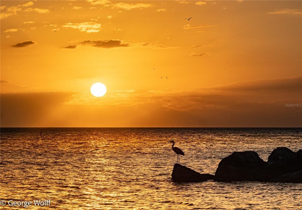 出租: $4,000 (1 贝兹, 2 浴室, 1165 平方英尺)