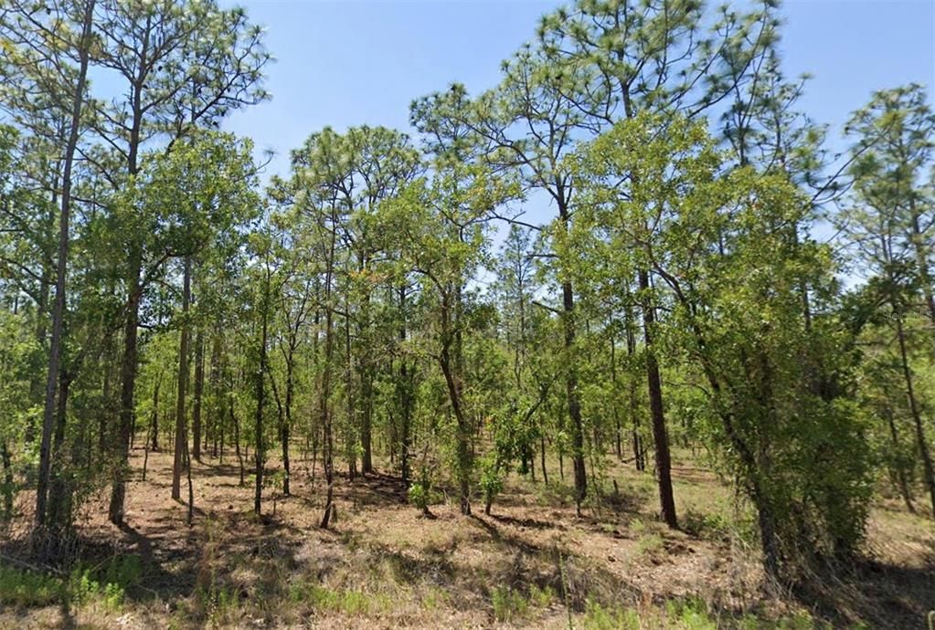 For Sale: $14,000 (0.23 acres)