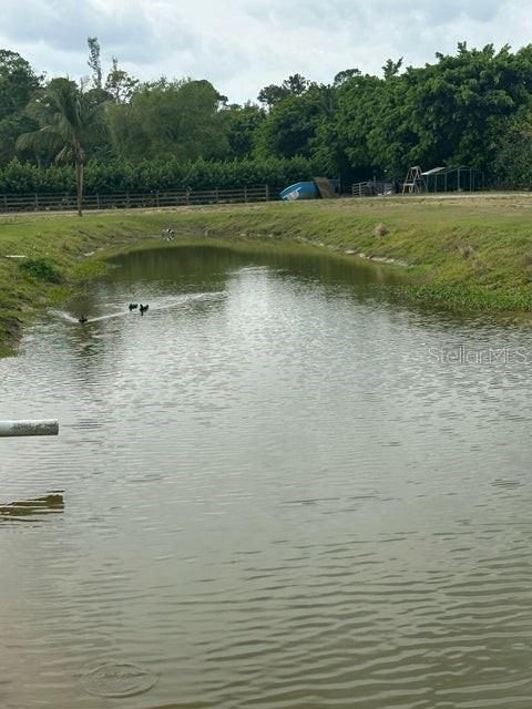 For Sale: $999,999 (5.00 acres)