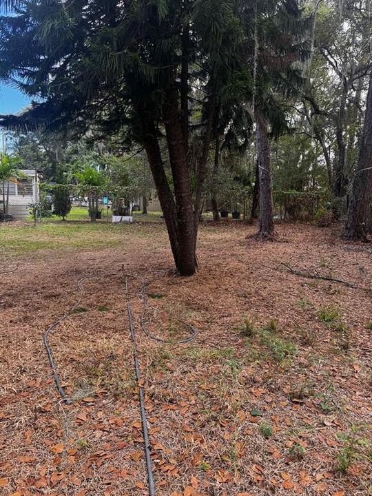 待售: $155,500 (2 贝兹, 2 浴室, 896 平方英尺)