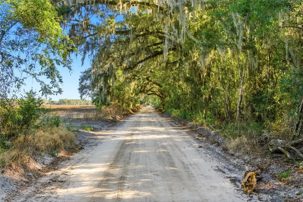 На продажу: $349,500 (3 спален, 2 ванн, 1188 Квадратных фут)