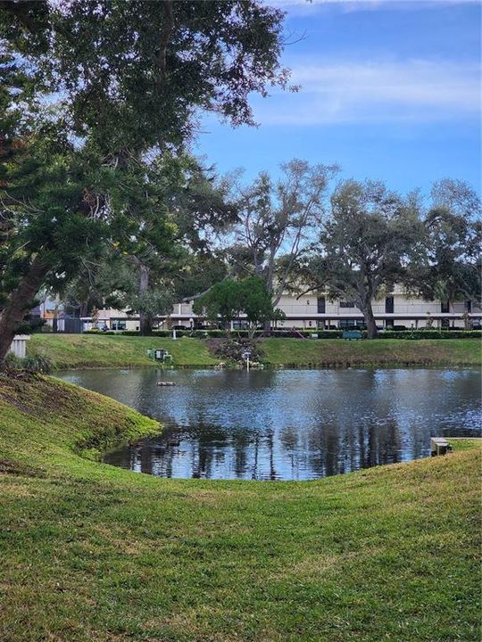 На продажу: $135,000 (1 спален, 1 ванн, 725 Квадратных фут)