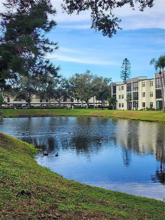 На продажу: $135,000 (1 спален, 1 ванн, 725 Квадратных фут)