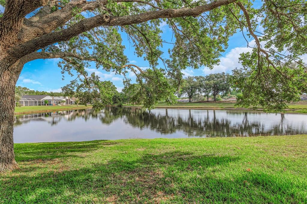For Sale: $620,000 (3 beds, 2 baths, 1765 Square Feet)