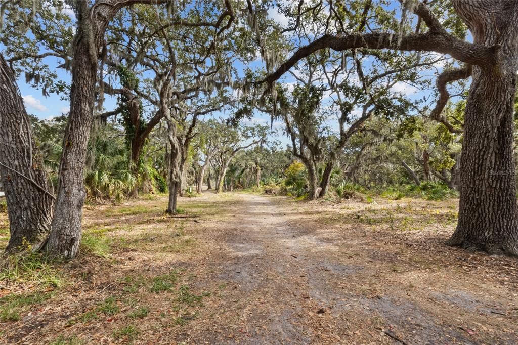 待售: $445,000 (3 贝兹, 2 浴室, 1420 平方英尺)