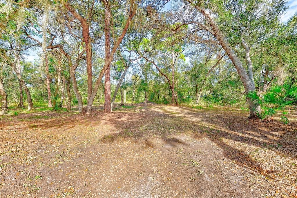 For Sale: $285,000 (3 beds, 2 baths, 981 Square Feet)