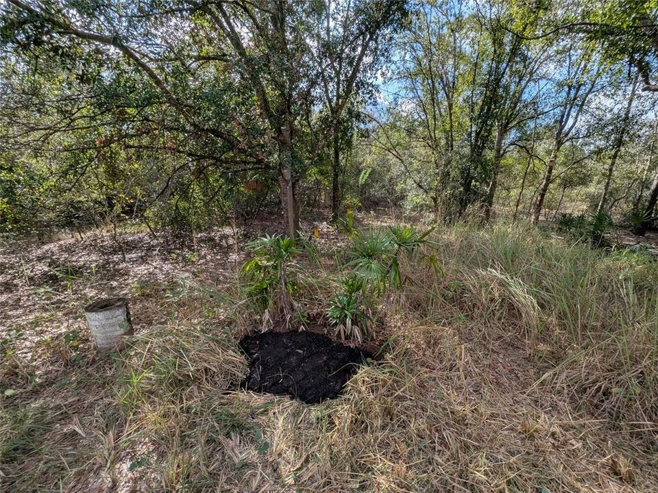 На продажу: $225,000 (1 спален, 1 ванн, 550 Квадратных фут)