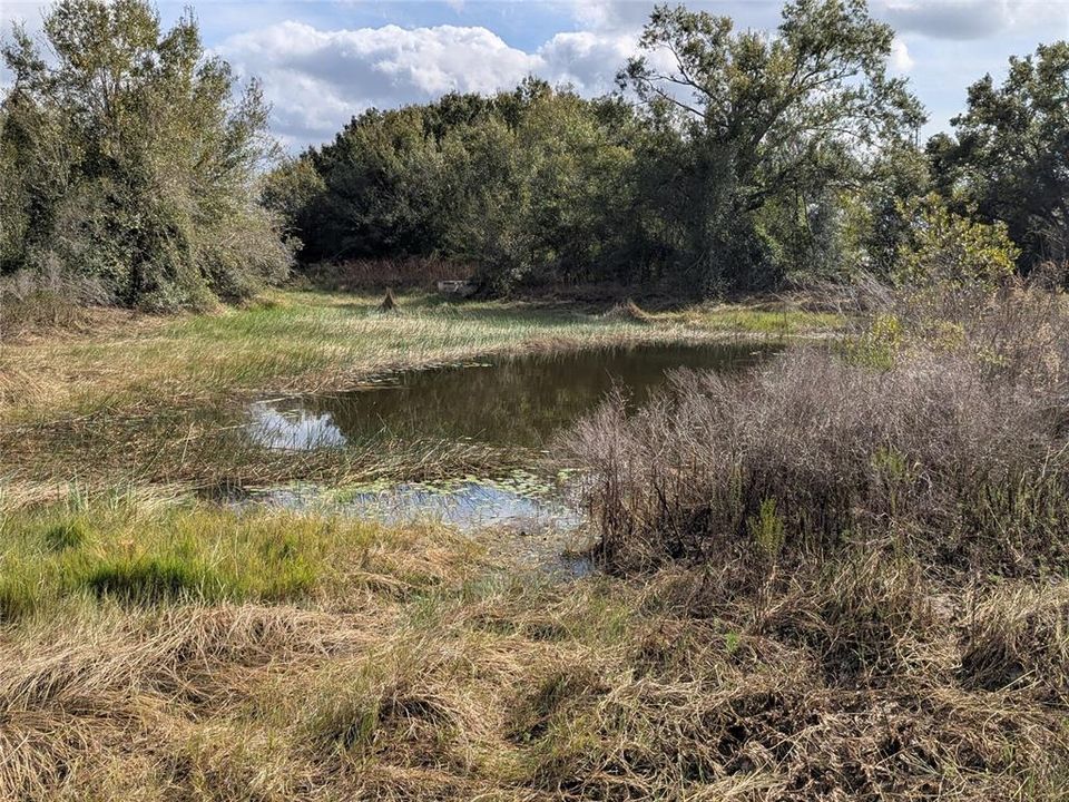 На продажу: $225,000 (1 спален, 1 ванн, 550 Квадратных фут)