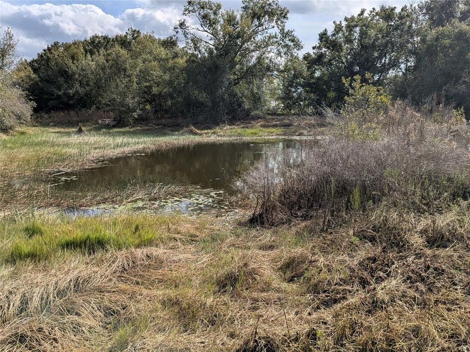 На продажу: $225,000 (1 спален, 1 ванн, 550 Квадратных фут)