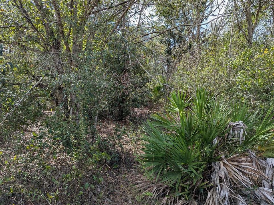 На продажу: $225,000 (1 спален, 1 ванн, 550 Квадратных фут)