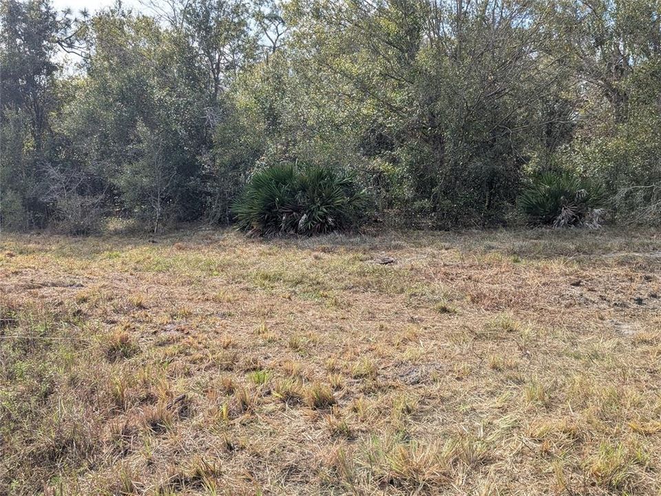 На продажу: $225,000 (1 спален, 1 ванн, 550 Квадратных фут)