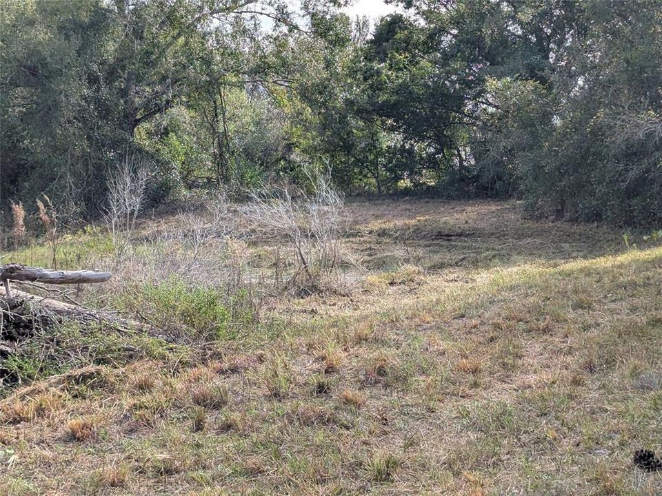 На продажу: $225,000 (1 спален, 1 ванн, 550 Квадратных фут)