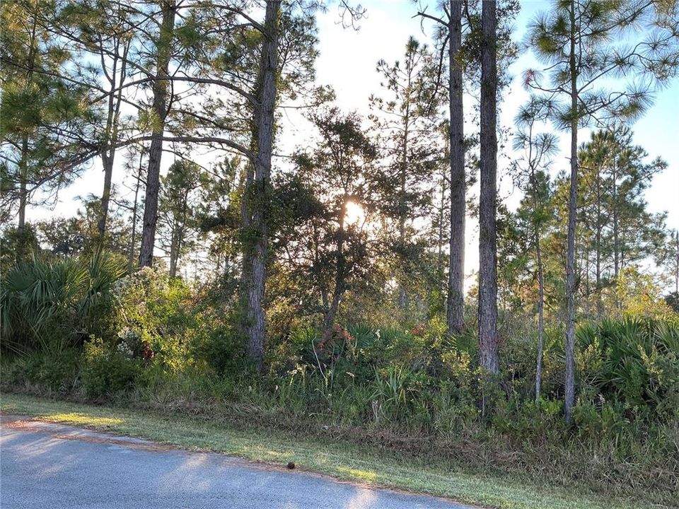 En Venta: $75,000 (0.23 acres)