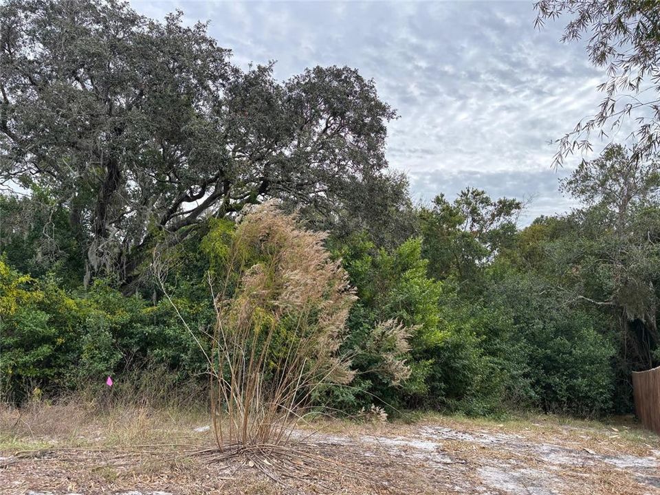 合同活跃: $59,000 (0.62 acres)