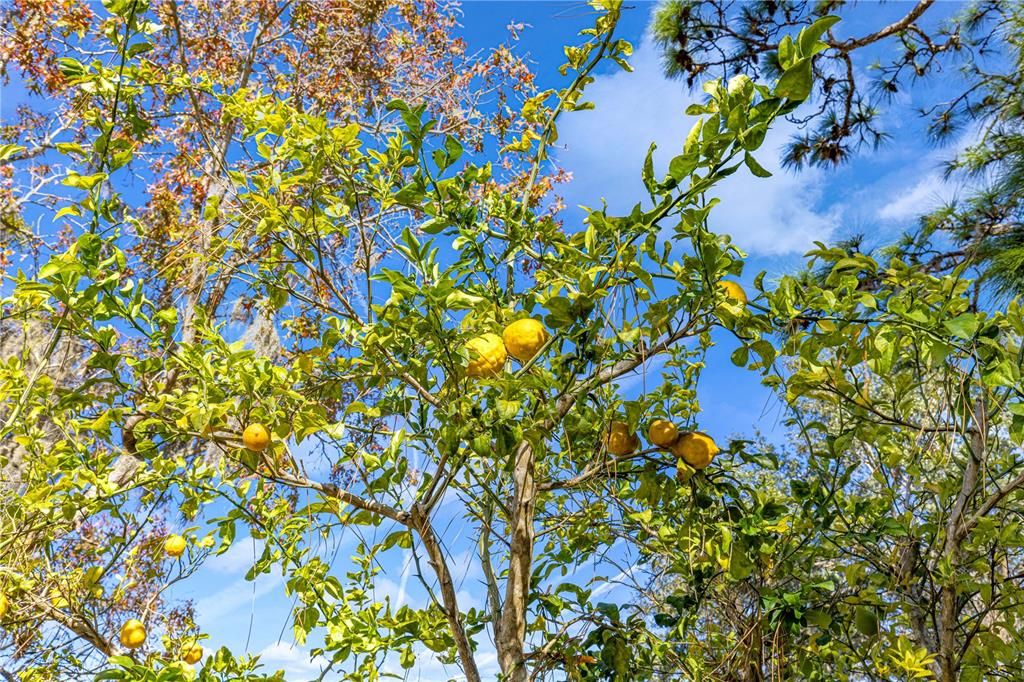 For Sale: $174,900 (2 beds, 2 baths, 1040 Square Feet)