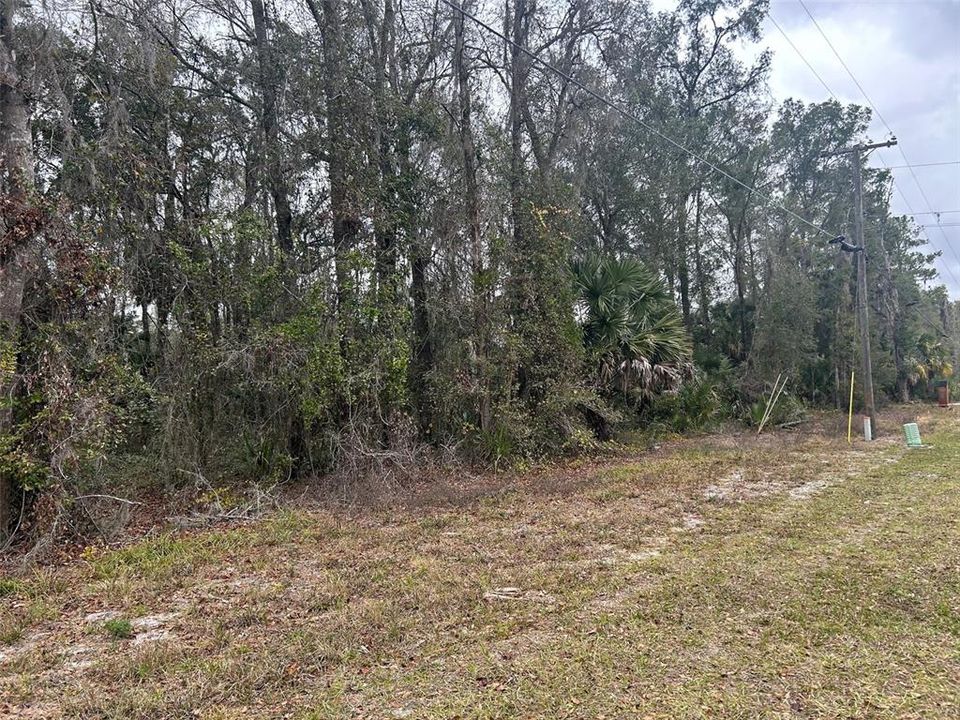 На продажу: $135,000 (2.59 acres)