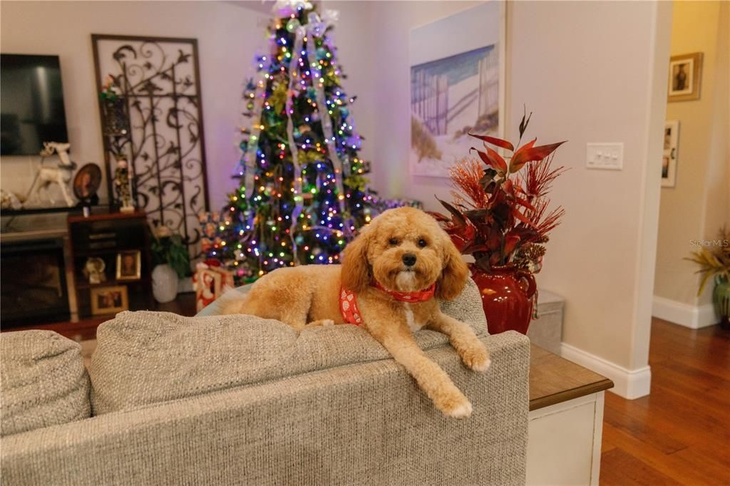 En Venta: $825,000 (3 camas, 2 baños, 2506 Pies cuadrados)