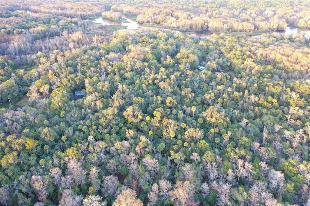 На продажу: $43,900 (1.24 acres)