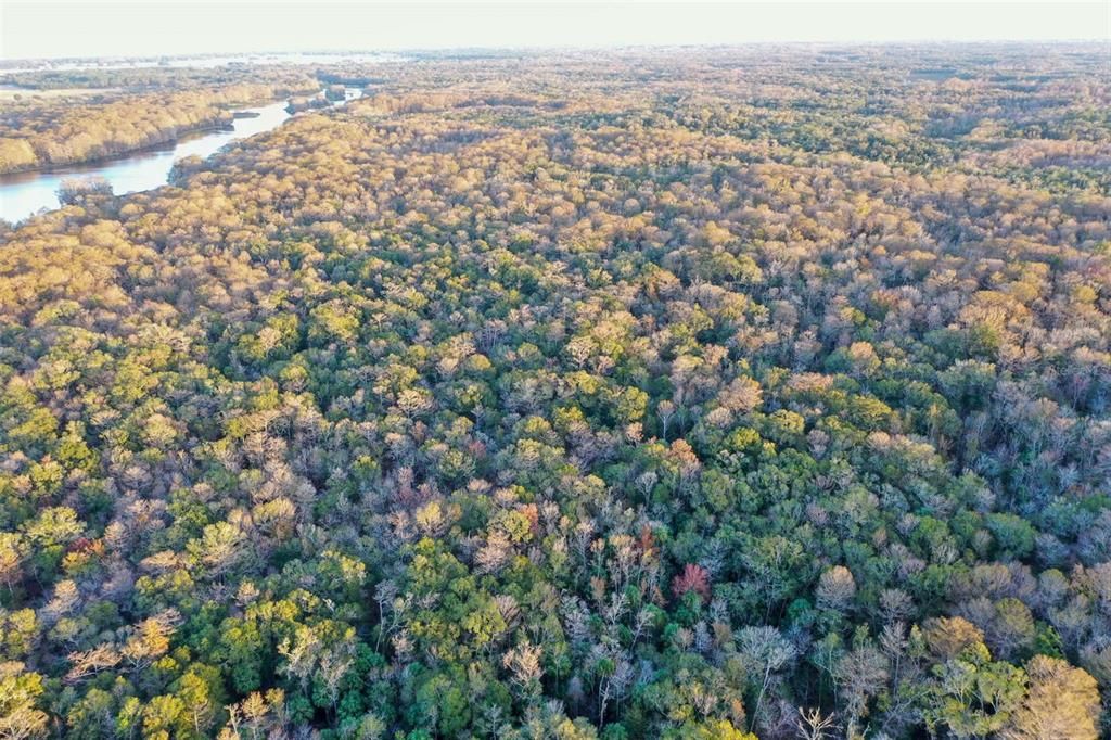 На продажу: $43,900 (1.24 acres)