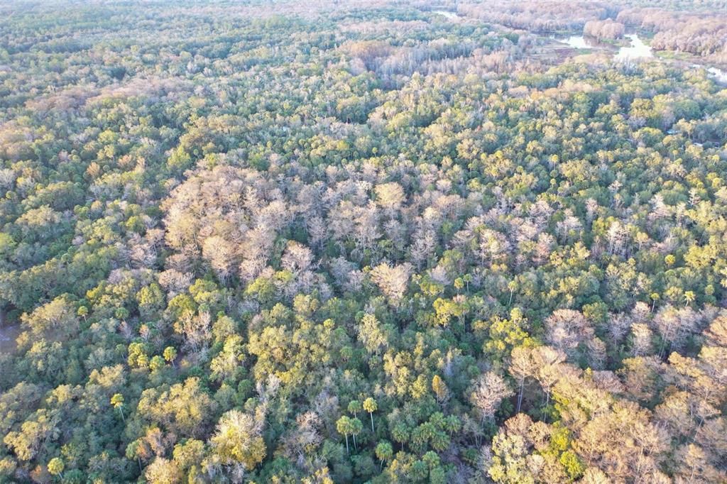 На продажу: $43,900 (1.24 acres)