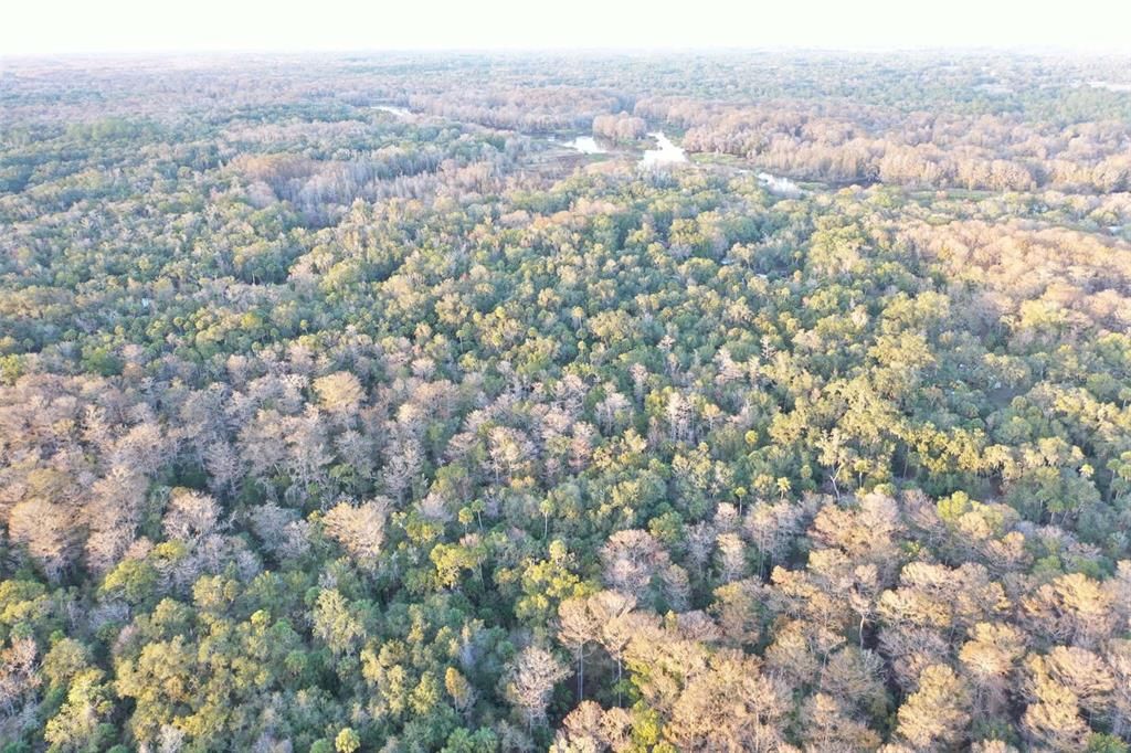 На продажу: $43,900 (1.24 acres)