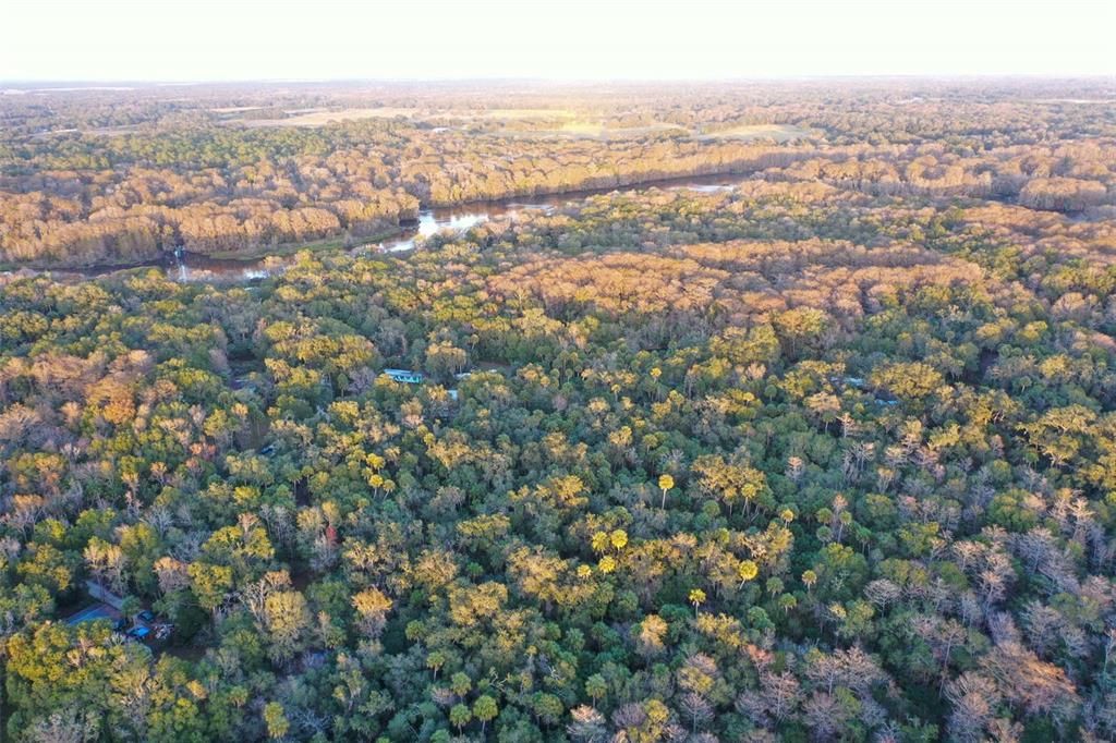 На продажу: $43,900 (1.24 acres)