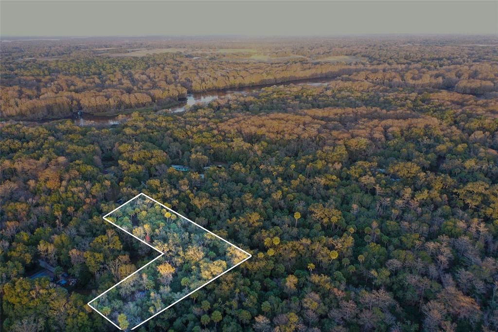 На продажу: $43,900 (1.24 acres)